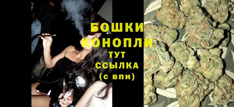 как найти закладки  гидра онион  Бошки Шишки White Widow  Камышин 